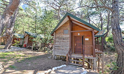 Pine House